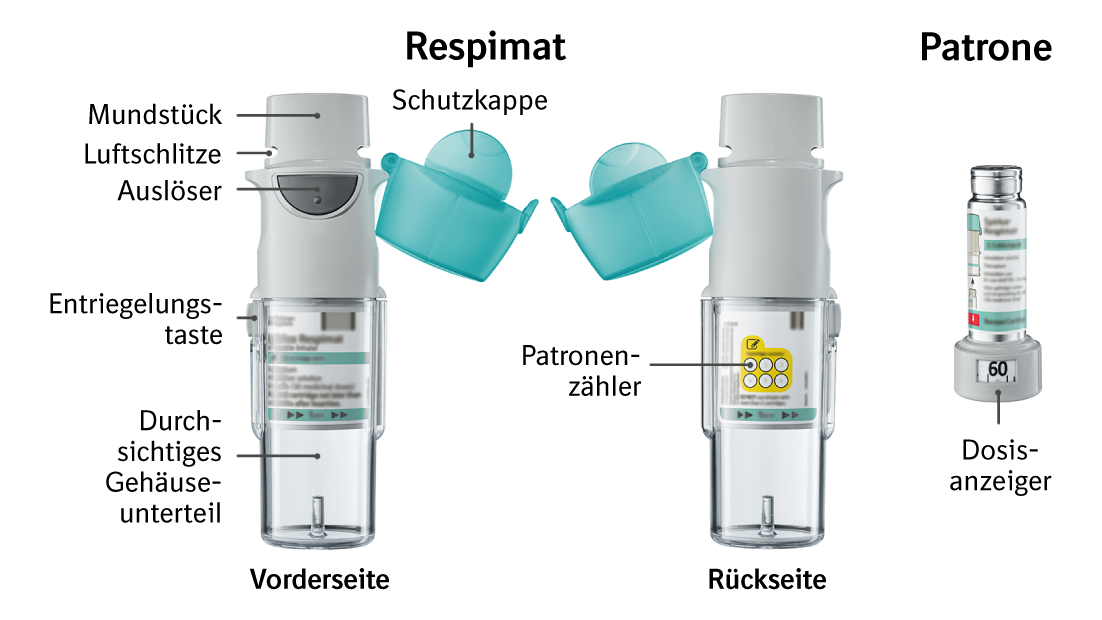 Spray Zur Erweiterung Der Bronchien patient.boehringer-ingelheim.com