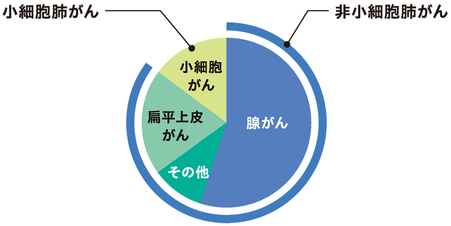 肺がんについて｜ヘルネクシオス®患者サイト｜日本ベーリンガー